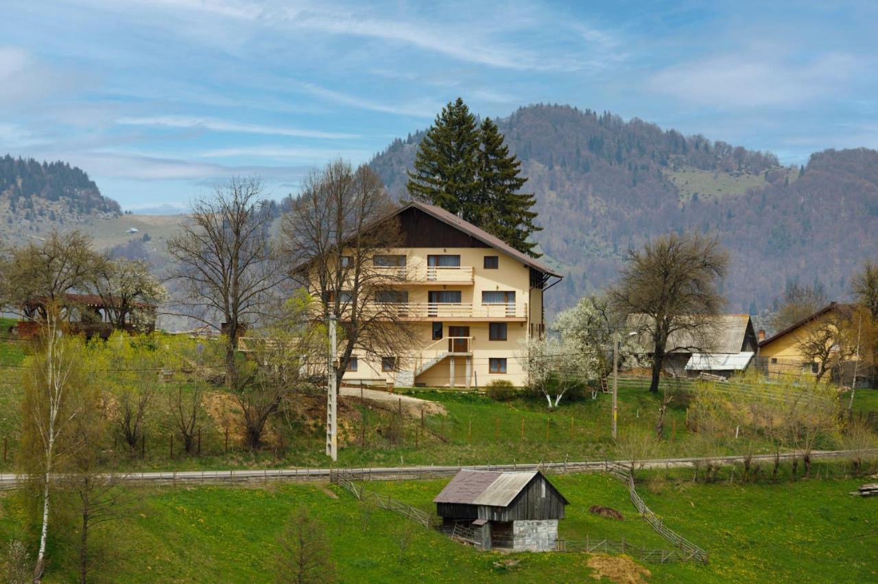 Transylvanian House Drumu Carului Exterior photo
