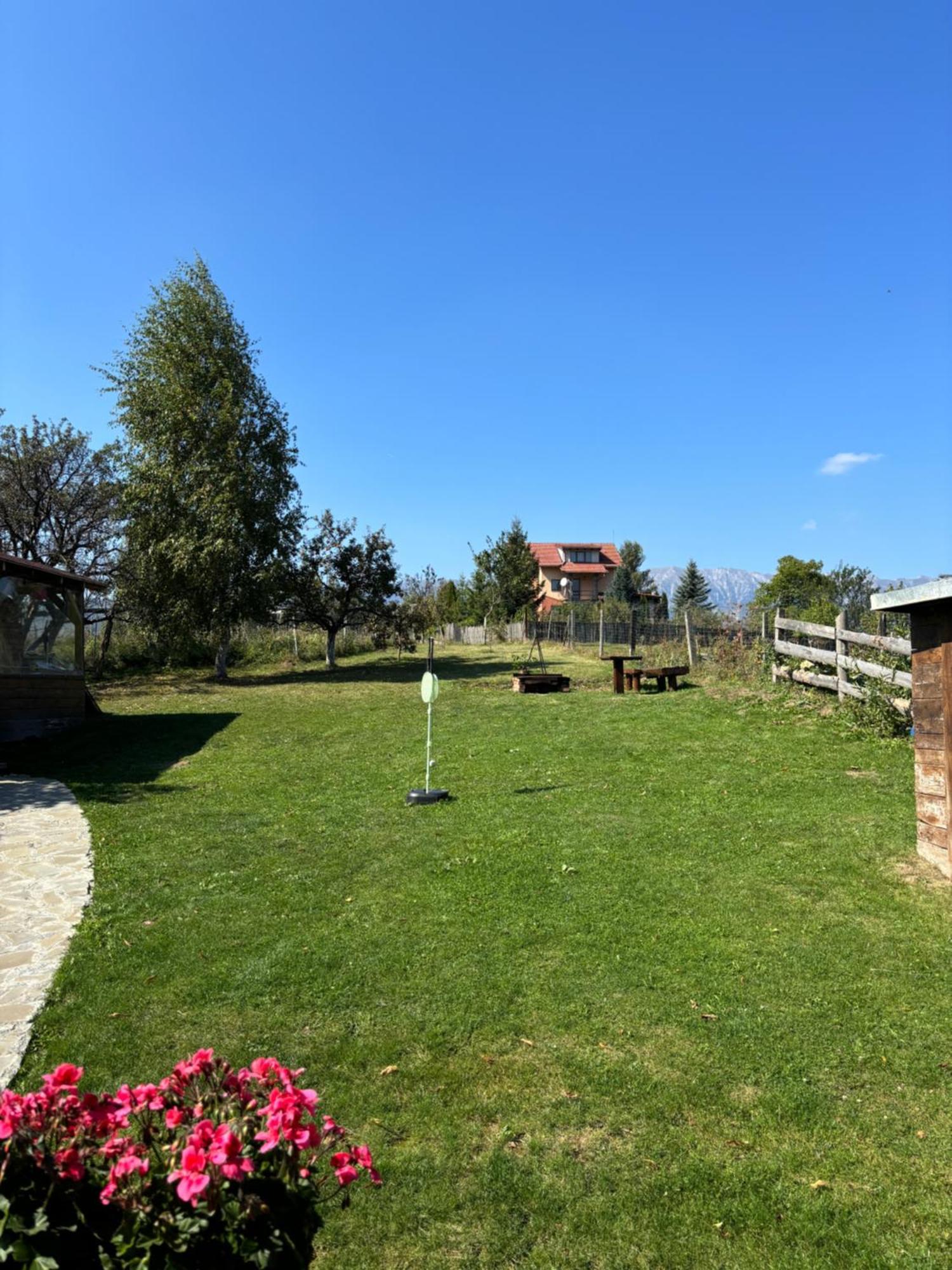 Transylvanian House Drumu Carului Exterior photo